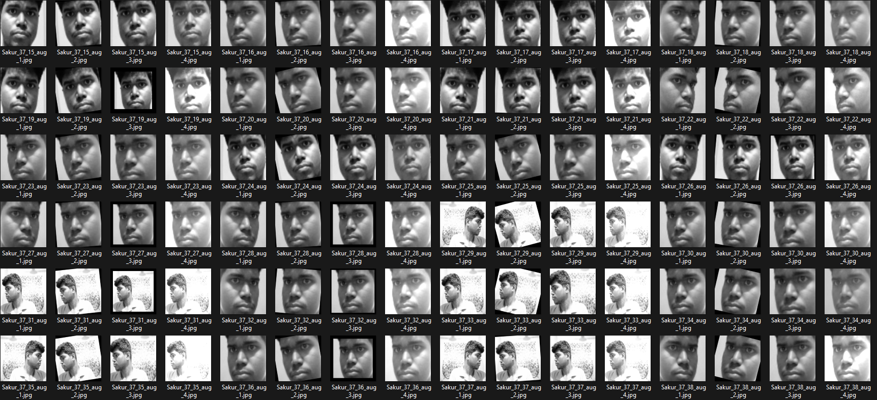 Data After Augmentation